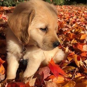 Meet your Posher, Ingrid